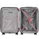 Валіза Wenger ORYSON Black Маленька Wt653163 - картинка, зображення, фото