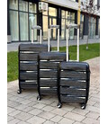 Чемодан RGL PP3 Mini черный фото, картинка, изображение