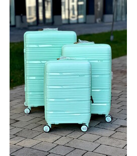Валіза RGL PP3 маленька S м'ятна - картинка, зображення, фото валізи