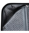 Чемодан Wings GAN01 Maxi шампань фото, картинка, изображение