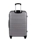 Чемодан Wings GAN01 большой L серый фото, картинка, изображение