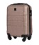 Чемодан Wings GAN01 XS шампань фото, картинка, изображение