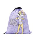 Дитяча маленька валіза, ручна поклажа + мішечок у подарунок Roncato LOONEY TUNES KIDS 441000/65 картинка, зображення, фото
