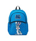 Детский рюкзак Roncato + пенал в подарок LOONEY TUNES KIDS 441002/58 фото, картинка, изображение