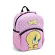 Дитячий рюкзак + пенал у подарунок Roncato LOONEY TUNES KIDS 441003/11 картинка, зображення, фото