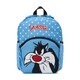 Дитячий рюкзак + пенал у подарунок Roncato LOONEY TUNES KIDS 441003/18 картинка, зображення, фото