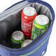 Термосумка Bo-Camp Cooler Bag 10 Blue (6702983) картинка, зображення, фото