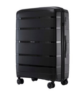 Валіза Wings HWF02 велика L чорна картинка, зображення, фото