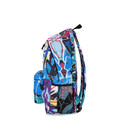 Рюкзак Bagland Stylish L 24 л. сублімація 1342 (00518664) картинка, зображення, фото