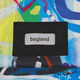 Рюкзак Bagland Stylish L 24 л. сублімація 1342 (00518664) картинка, зображення, фото