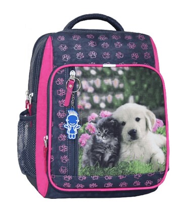 Рюкзак шкільний Bagland Школяр 8 л. 321 сірий 138 д (0012870) картинка, зображення, фото