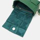 Женская кожаная сумка Borsa Leather K12118z-green фото