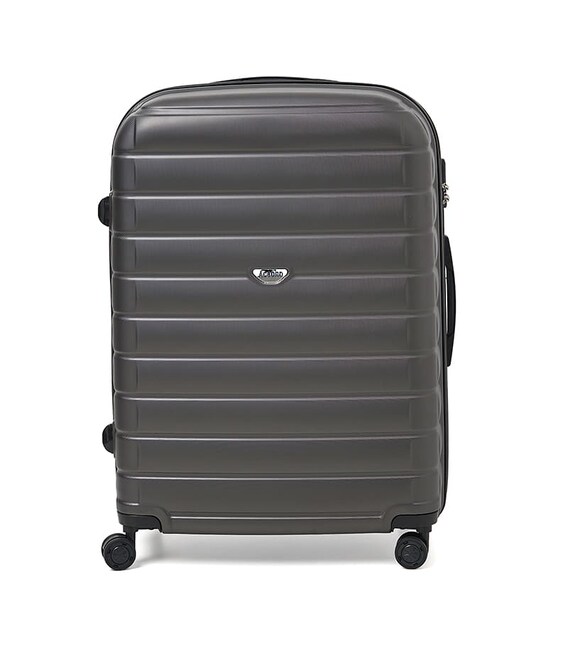 Валіза велика 4 колеса Ricco Grande T15003grey-XL картинка, зображення, фото