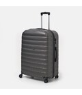 Валіза велика 4 колеса Ricco Grande T15003grey-XL картинка, зображення, фото