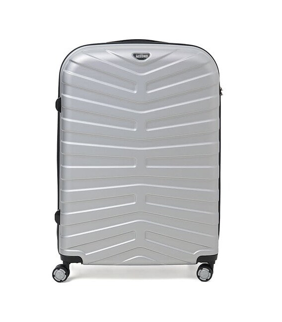 Чемодан большой 4 колеса Ricco Grande T15002silver-XL фото, картинка, изображение