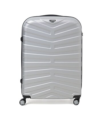 Валіза велика 4 колеса Ricco Grande T15002silver-XL картинка, зображення, фото