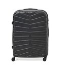 Чемодан большой 4 колеса Ricco Grande T15002black-XL фото, картинка, изображение