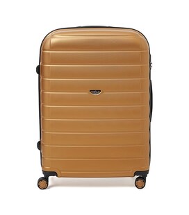 Валіза велика 4 колеса Ricco Grande T15003Gold-XL картинка, зображення, фото