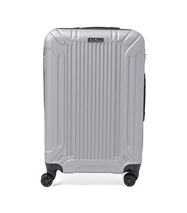 Валіза середня 4 колеса Ricco Grande T1Castle1silver-L картинка, зображення, фото