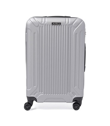 Валіза середня 4 колеса Ricco Grande T1Castle1silver-L картинка, зображення, фото