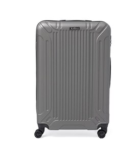 Валіза велика 4 колеса Ricco Grande T1Castle1gray-XL картинка, зображення, фото