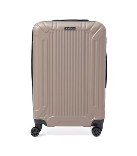 Валіза середня 4 колеса Ricco Grande T1Castle1gold-L картинка, зображення, фото