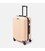 Валіза середня 4 колеса Ricco Grande T1Castle1pudra-L картинка, зображення, фото