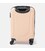 Чемодан маленький 4 колеса Ricco Grande T1Castle1pudra-M фото, картинка, изображение