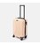 Валіза маленька 4 колеса Ricco Grande T1Castle1pudra-M картинка, зображення, фото