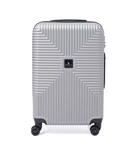 Валіза середня 4 колеса Ricco Grande T1Bowtie21silver-L картинка, зображення, фото