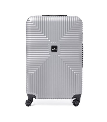 Валіза велика 4 колеса Ricco Grande T1Bowtie21silver-XL картинка, зображення, фото