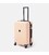 Валіза середня 4 колеса Ricco Grande T1Bowtie21pudra-L картинка, зображення, фото