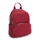 Женский рюкзак Monsen C1rm1102r-red фото