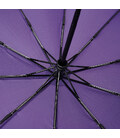 Автоматична парасолька Monsen C1001aviolet картинка, зображення, фото