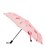 Автоматический зонт Monsen C1watermelon фото, картинка, изображение