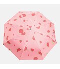 Автоматический зонт Monsen C1watermelon фото, картинка, изображение