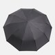 Автоматический зонт Monsen C1GD66436bl-black фото