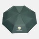Автоматический зонт Monsen CV13123ROMg-green фото