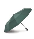 Зонт Monsen полный автомат CV1ZNT12-green фото, картинка, изображение