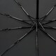 Автоматический зонт Monsen C1TY2719-black фото