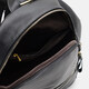 Жіночий шкіряний рюкзак Borsa Leather k1s005-black картинка, зображення, фото