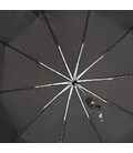 Автоматический зонт Monsen C1868cd-12-black фото, картинка, изображение