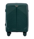 Чемодан Wings CKT01 Mini зеленый фото, картинка, изображение
