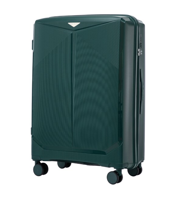 Чемодан Wings CKT01 Maxi зеленый фото, картинка, изображение
