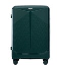 Валіза Wings CKT01 Maxi зелена картинка, зображення, фото