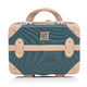 Бьюті-кейс Semi Line 10L Green-Navy (T5838-1) картинка, зображення, фото