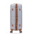 Чемодан Semi Line 28" (L) Light Grey (T5849-3) фото, картинка, изображение
