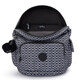 Рюкзак Kipling CITY PACK S Signature Print (DD2) KI4581_DD2 картинка, зображення, фото