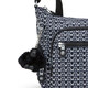 Жіноча сумка Kipling GABBIE S Signature Print (DD2) KI3759DD2 картинка, зображення, фото