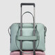 Женская сумка Piquadro Lyra (W92T) Green BD4574W92T_VE фото